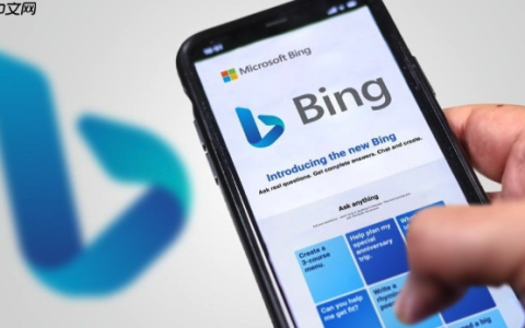 Bing浏览器密码保存失败解决 Bing浏览器自动填充配置方法