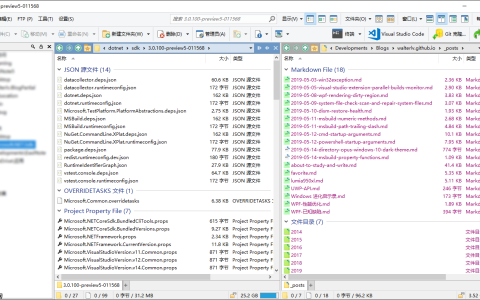 让 Directory Opus 支持 Windows 10 的暗色主题