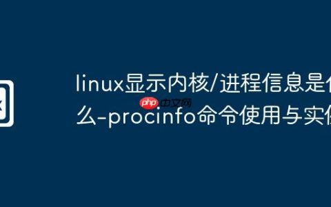 linux显示内核/进程信息是什么-procinfo命令使用与实例