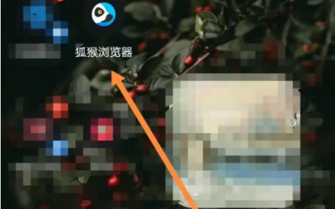 狐猴浏览器怎么全屏 狐猴浏览器开启桌面模式方法