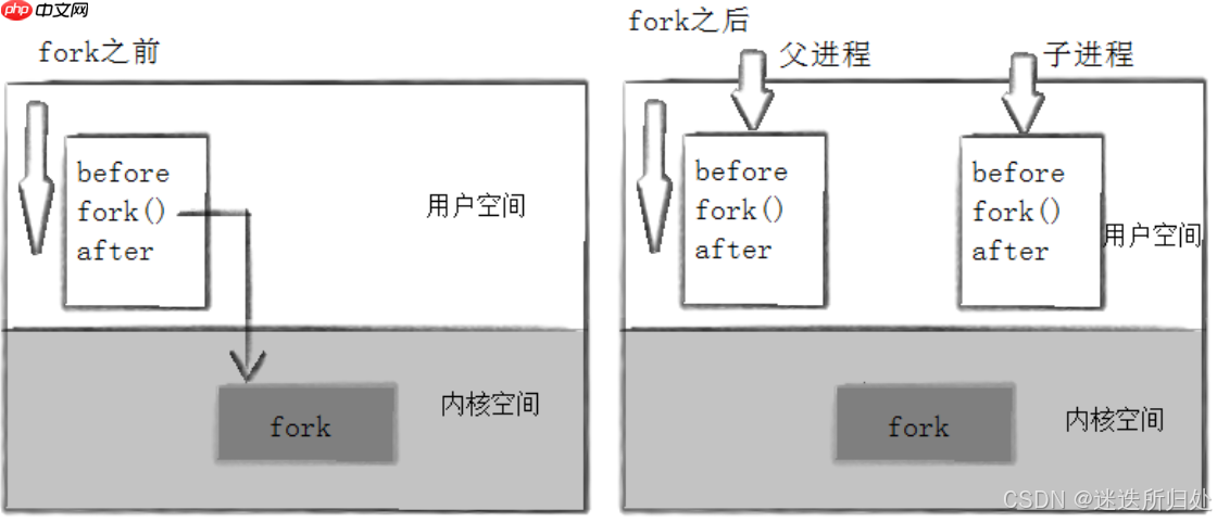 Linux系统 —— 进程控制系列 - 进程的创建与终止 ：fork与exit