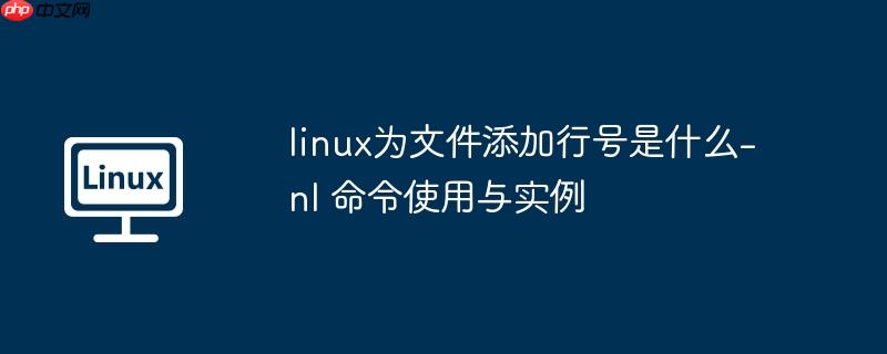 linux为文件添加行号是什么-nl 命令使用与实例