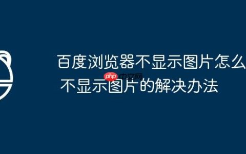 百度浏览器不显示图片怎么办 不显示图片的解决办法