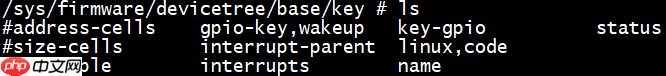 Linux 运行时设备树