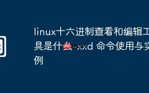linux十六进制查看和编辑工具是什么-xxd 命令使用与实例