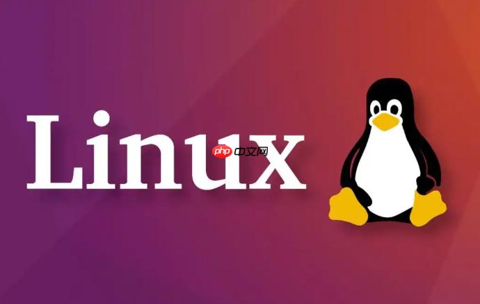 Linux网络安全加固方法_Linux防御DDoS及入侵检测技术