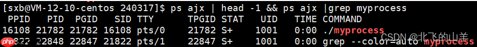 【Linux】对进程PCB的理解&&查看进程信息的方法