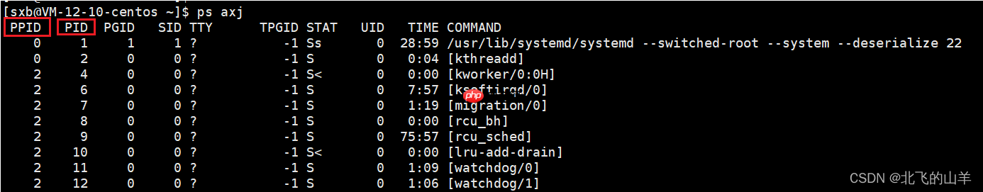 【Linux】对进程PCB的理解&&查看进程信息的方法