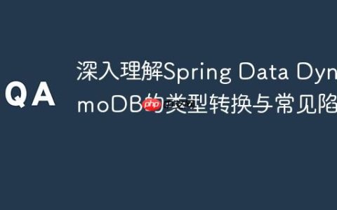 深入理解Spring Data DynamoDB的类型转换与常见陷阱