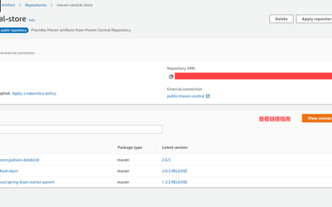 AWS CodeArtifact 如何设置用户的 TOKEN