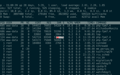 linux实时显示进程信息是什么-top 命令使用与实例