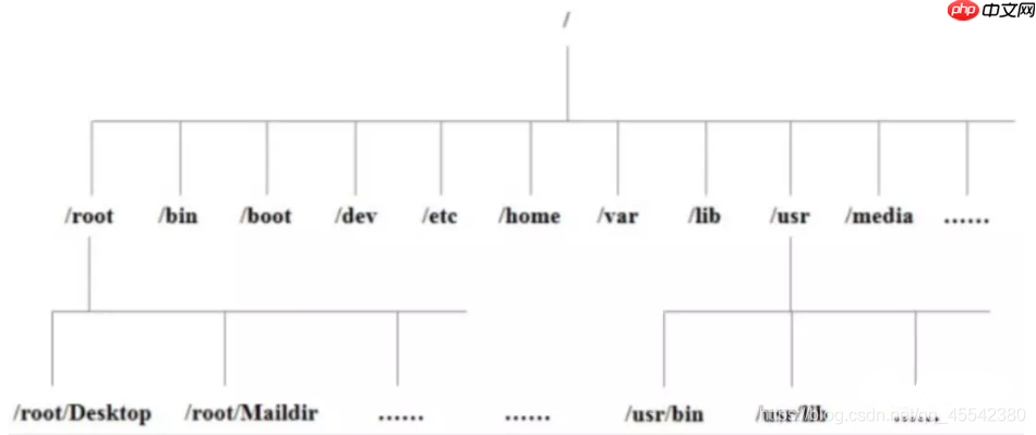 Linux 基础入门学习:(JavaEE~大数据篇)