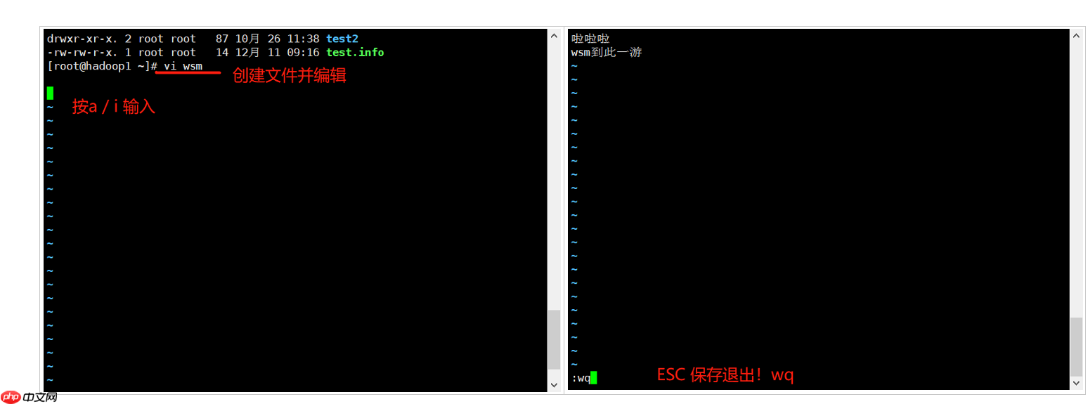 Linux 基础入门学习:(JavaEE~大数据篇)