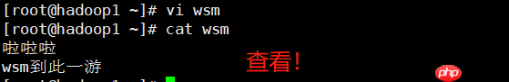 Linux 基础入门学习:(JavaEE~大数据篇)