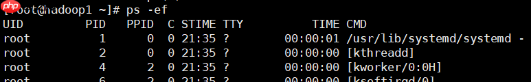 Linux 基础入门学习:(JavaEE~大数据篇)