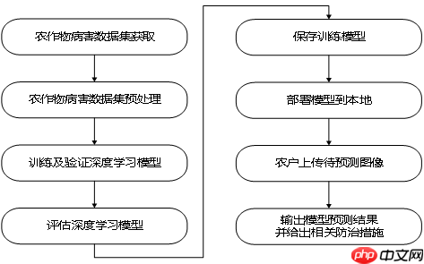 Coding-Party 基于飞桨的农作物智能识别系统 - 创想鸟