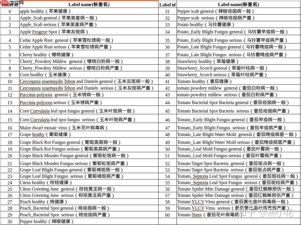 Coding-Party 基于飞桨的农作物智能识别系统 - 创想鸟