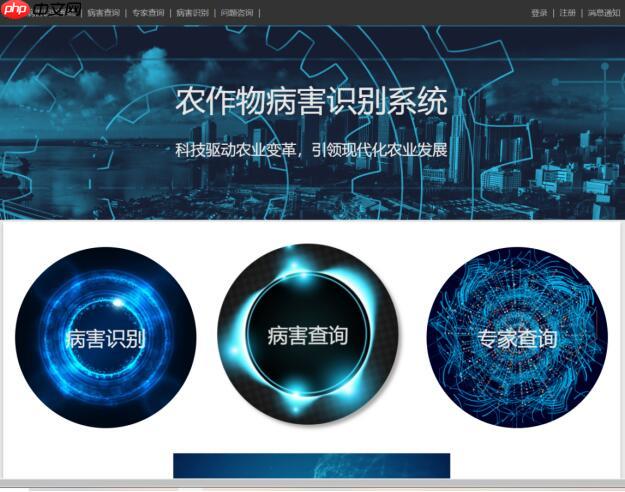Coding-Party 基于飞桨的农作物智能识别系统 - 创想鸟