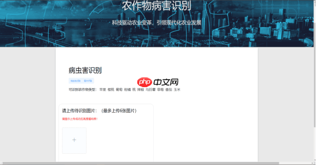Coding-Party 基于飞桨的农作物智能识别系统 - 创想鸟
