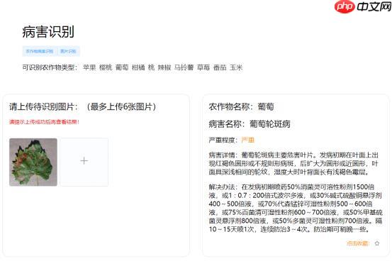 Coding-Party 基于飞桨的农作物智能识别系统 - 创想鸟