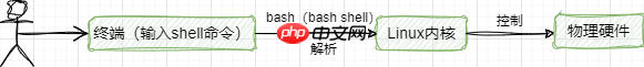 什么是Shell?怎么编写和执行Shell脚本?