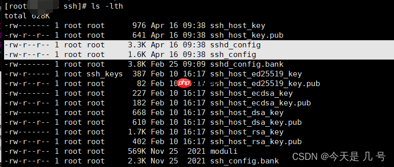 【权限维持】Linux&OpenSSH&PAM后门&SSH软链接&公私钥登录