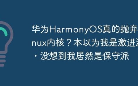 华为HarmonyOS真的抛弃了Linux内核？本以为我是激进派，没想到我居然是保守派
