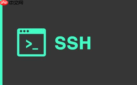 Linux SSH 连接在一段时间内没有活动时可能会自动断开，怎么办？