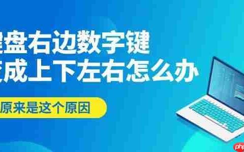 键盘右边数字键变成上下左右怎么办 原来是这个原因！