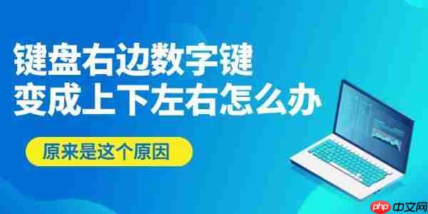 键盘右边数字键变成上下左右怎么办 原来是这个原因!