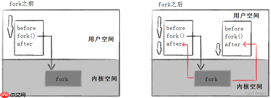 【Linux】进程控制:理解什么是进程创建,进程终止,进程等待 | 进程替换