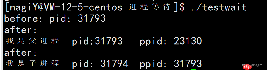 【Linux】进程控制:理解什么是进程创建,进程终止,进程等待 | 进程替换