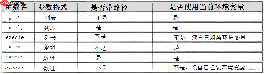 【Linux】进程控制:理解什么是进程创建,进程终止,进程等待 | 进程替换