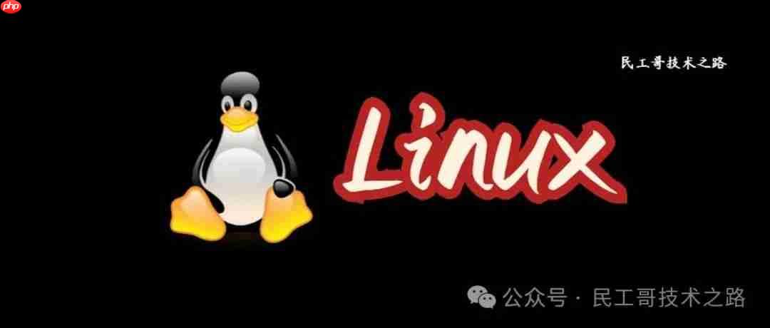 你敢信?至今 Linux 依旧是一个小众的操作系统