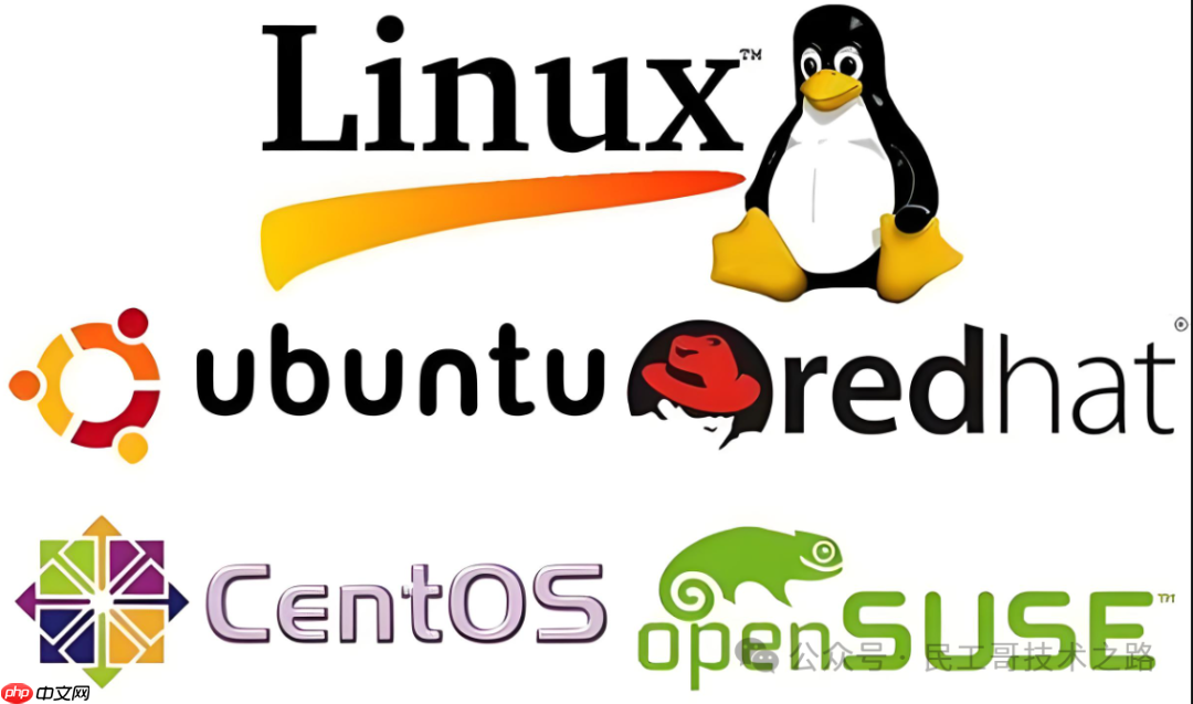 你敢信?至今 Linux 依旧是一个小众的操作系统