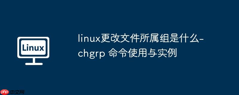 linux更改文件所属组是什么-chgrp 命令使用与实例