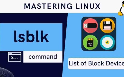 Linux磁盘管理：如何查看UUID和检查分区文件系统