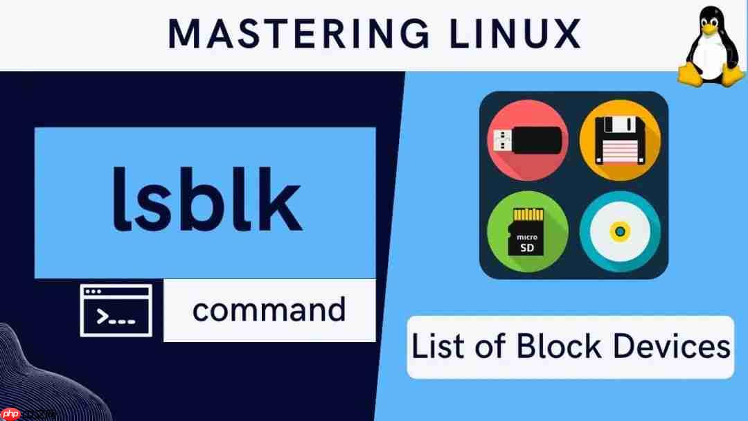 Linux磁盘管理:如何查看UUID和检查分区文件系统
