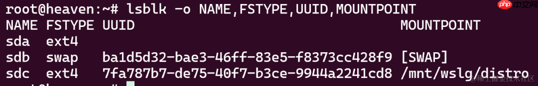 Linux磁盘管理:如何查看UUID和检查分区文件系统