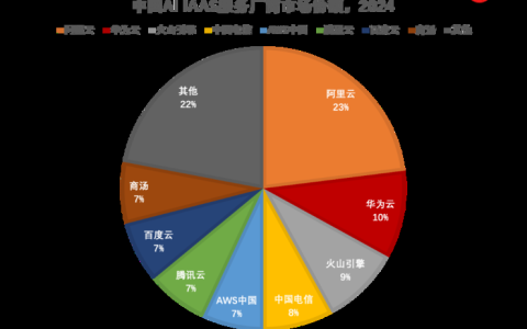 IDC最新报告：2024中国AI基础设施市场份额，阿里云第一