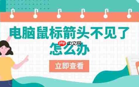 电脑鼠标箭头不见了怎么办 一文教你快速找回鼠标光标