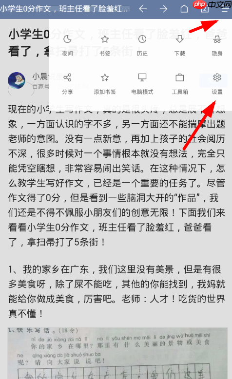 via浏览器如何使用插件 Via浏览器添加使用插件教程