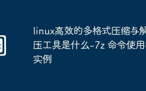 linux高效的多格式压缩与解压工具是什么-7z 命令使用与实例