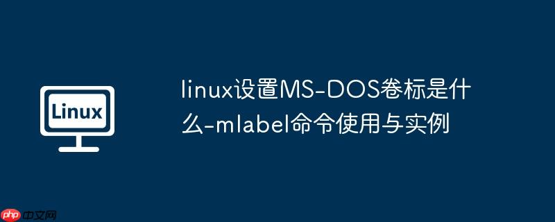 linux设置MS-DOS卷标是什么-mlabel命令使用与实例