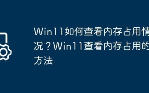Win11如何查看内存占用情况？Win11查看内存占用的方法