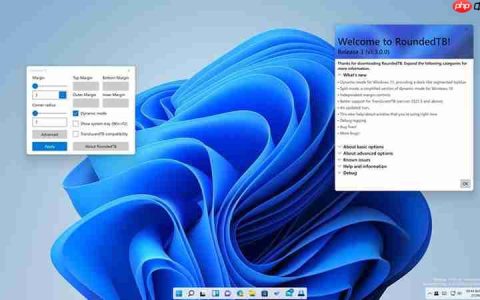 ​Windows 11任务栏修改圆角矩形小工具RoundedTB