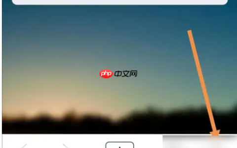 星愿浏览器app怎么下载视频 星愿浏览器APP查找下载内容教程