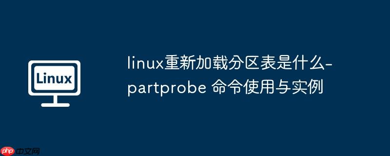 linux重新加载分区表是什么-partprobe 命令使用与实例