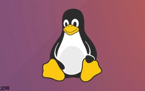 Linux安全加固实战_LinuxSELinux策略配置与管理